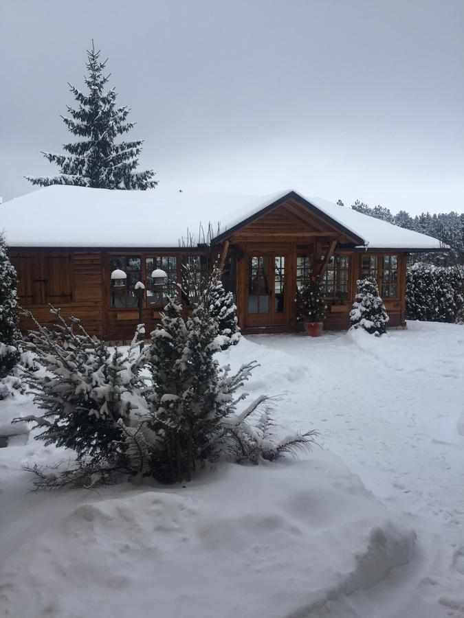 Guest House Vila Zunic Zlatibor Dış mekan fotoğraf